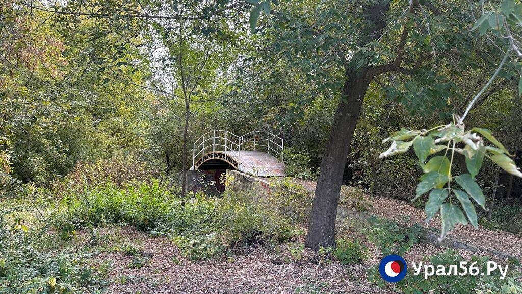    Лодочная станция, экотропы и даже зоопарк: В Оренбурге хотят благоустроить Зауральную рощу, которая находится в запустении