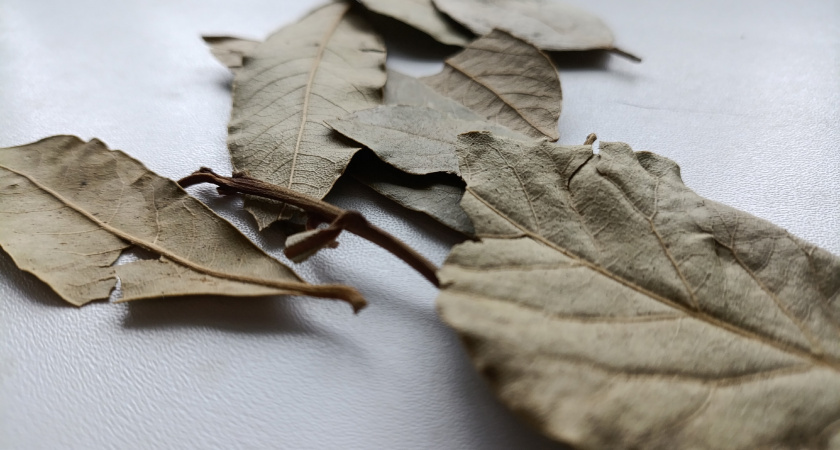    Фото из архива "ПроГорода"