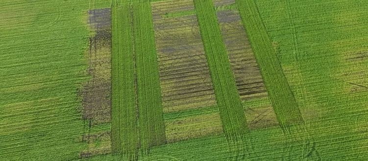    Фото: Jeffrey Mul, Vertify