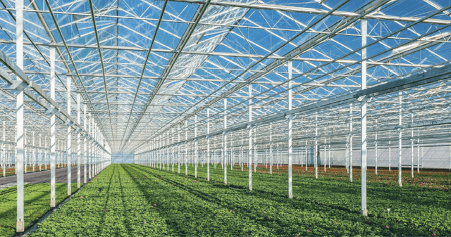 Промышленные теплицы под ключ по всей России