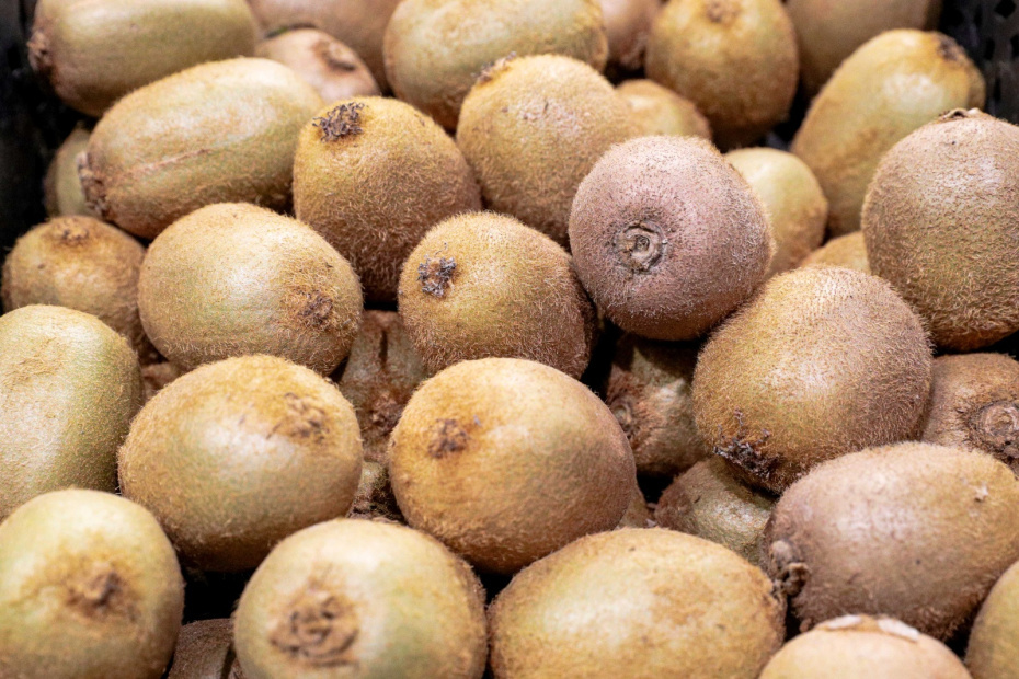    Сергей Булкин/NEWS.ru