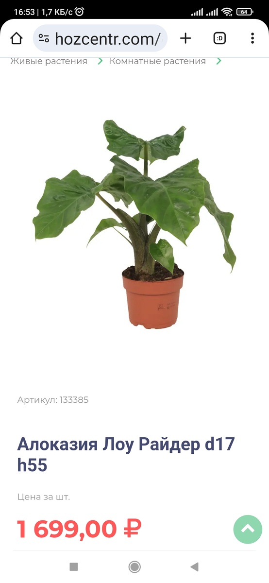 Скрин с сайта магазина