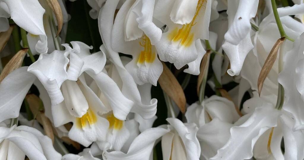 Не выхожу на связь потому, что монтирую ролик😀с продолжением