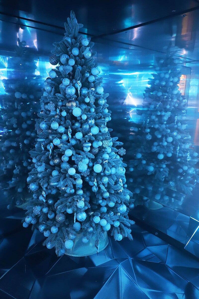 Фото Александра ВАСИЛЬЕВА.