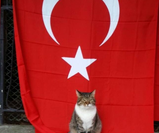 Почему турки называются турками?