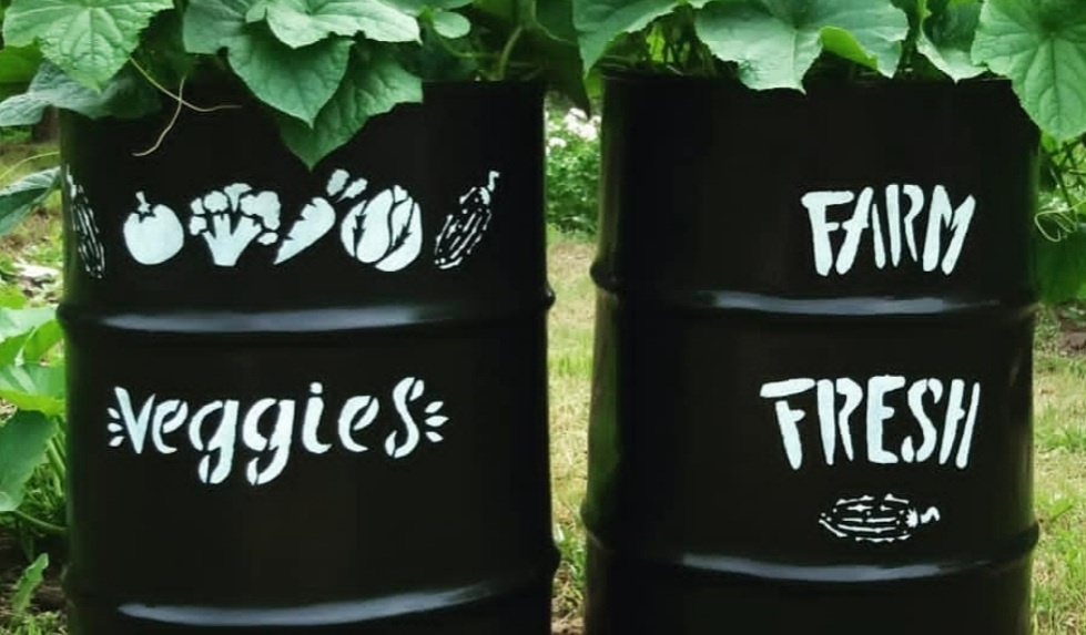 Фото автора.  