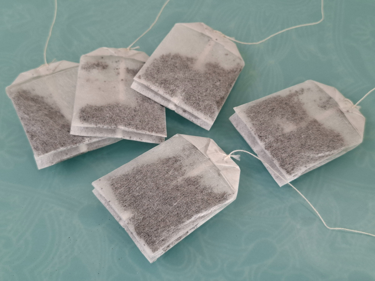 фото из личного архива