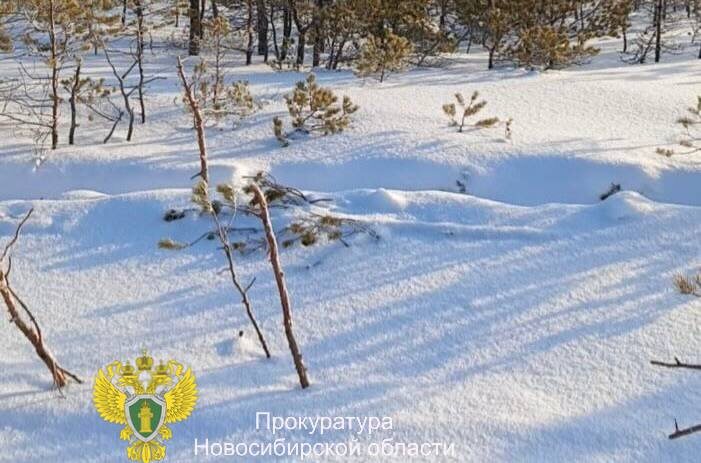    Фото: прокуратура НСО