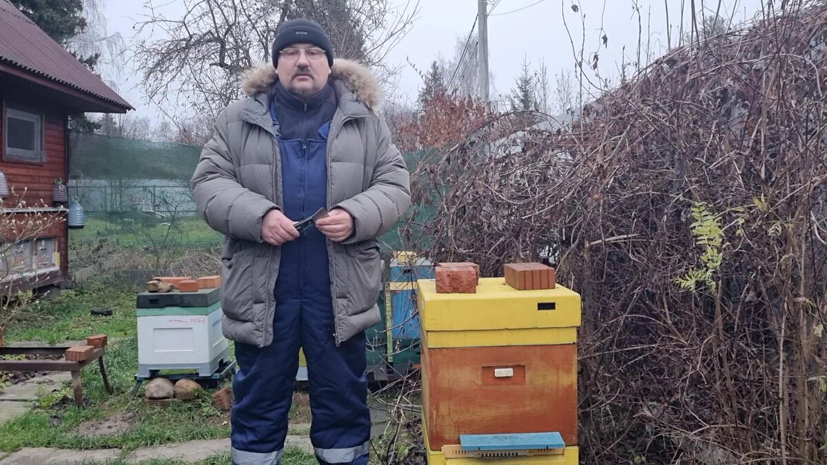 Зимовка пчел на улице