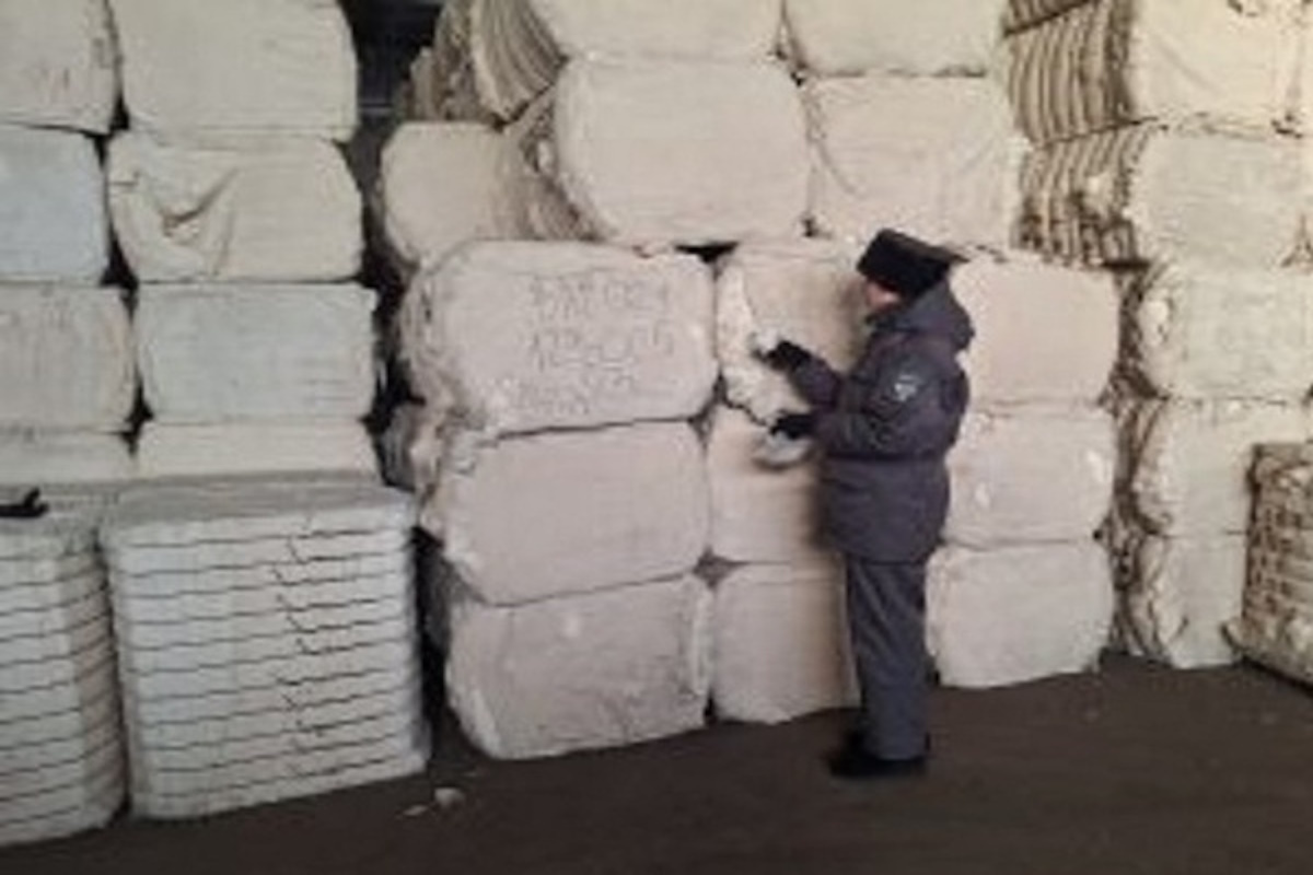    Фото: Управление Россельхознадзора по Владимирской, Костромской и Ивановской областям, источник: 33.fsvps.gov.ru