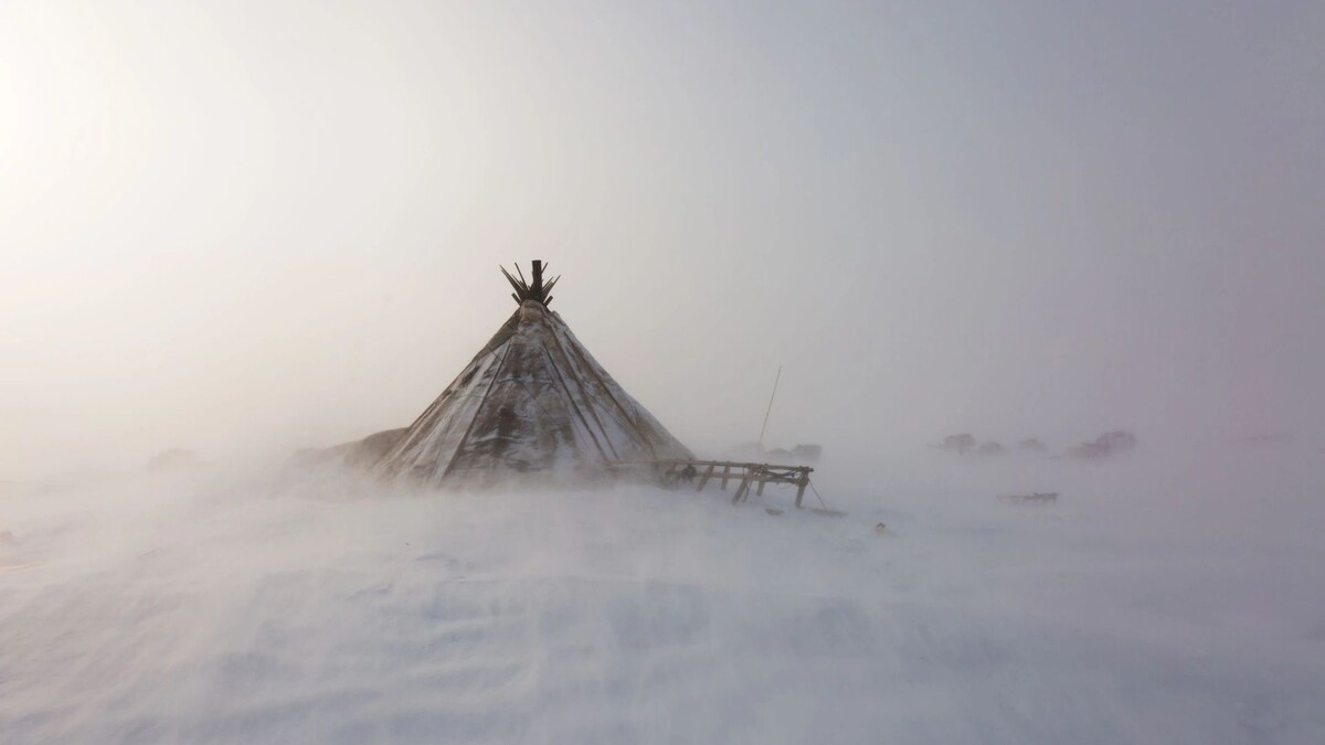    Фото: Shchipkova Elena/Shutterstock/Fotodom