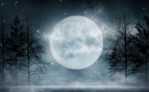 Картинки Яндекс