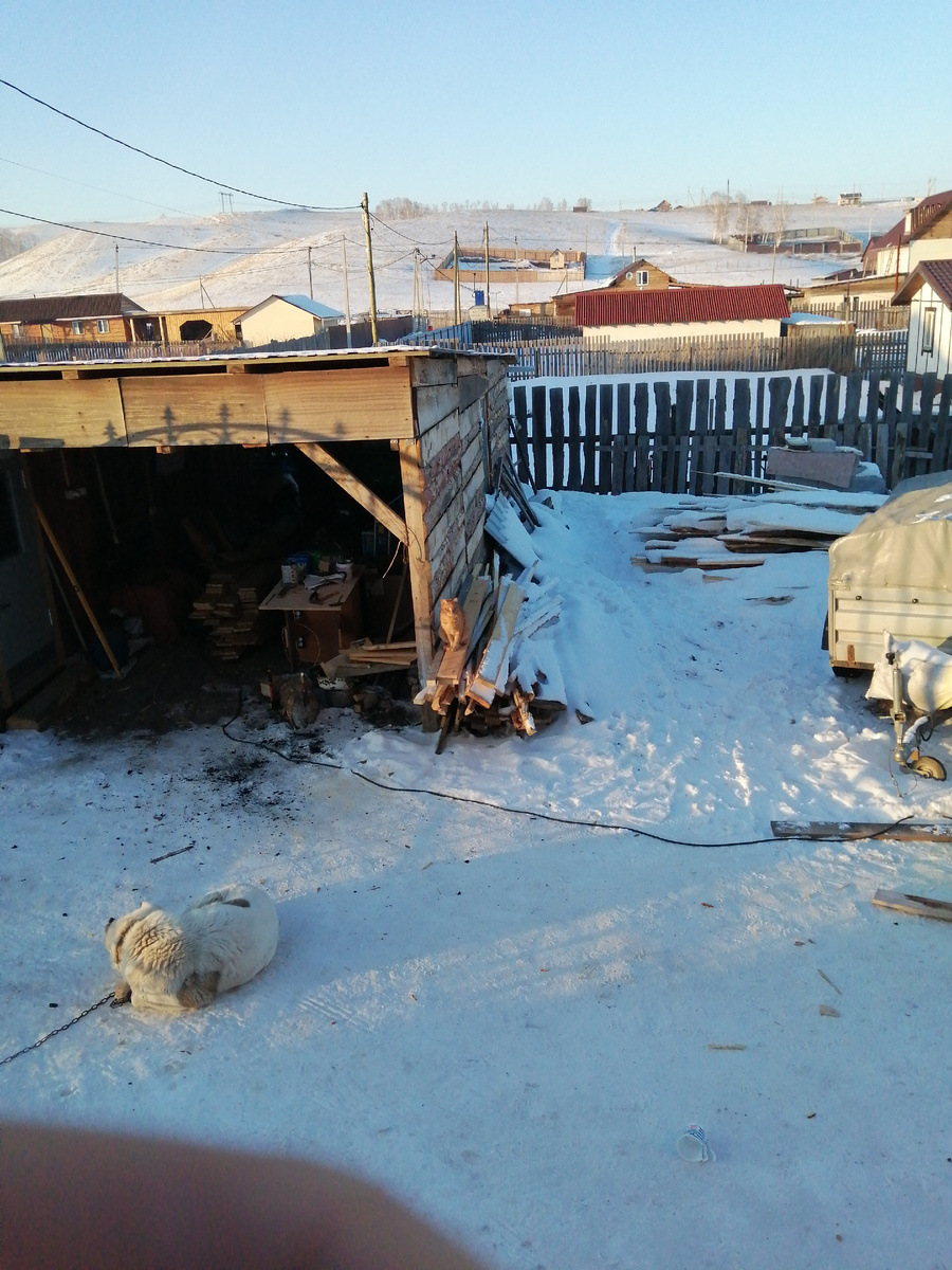 листаем галерею