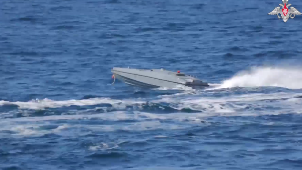    © Министерство обороны РФ