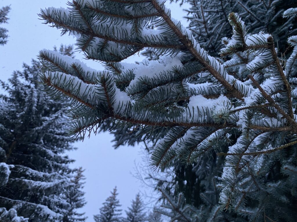    Фото: В курсе.ру Ульяна Бажанова
