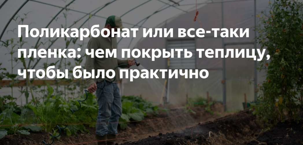 Промышленные и фермерские теплицы под ключ по всей России