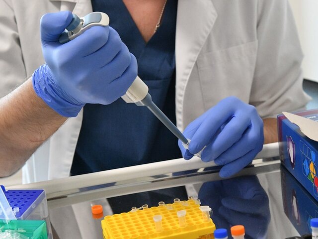    Фото: Москва 24/Антон Великжанин