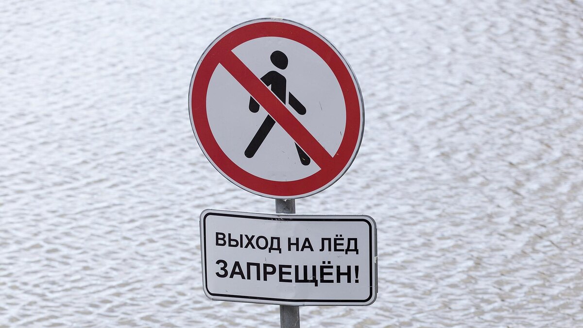    Фото: Aleksey Smyshlyaev/globallookpress.com