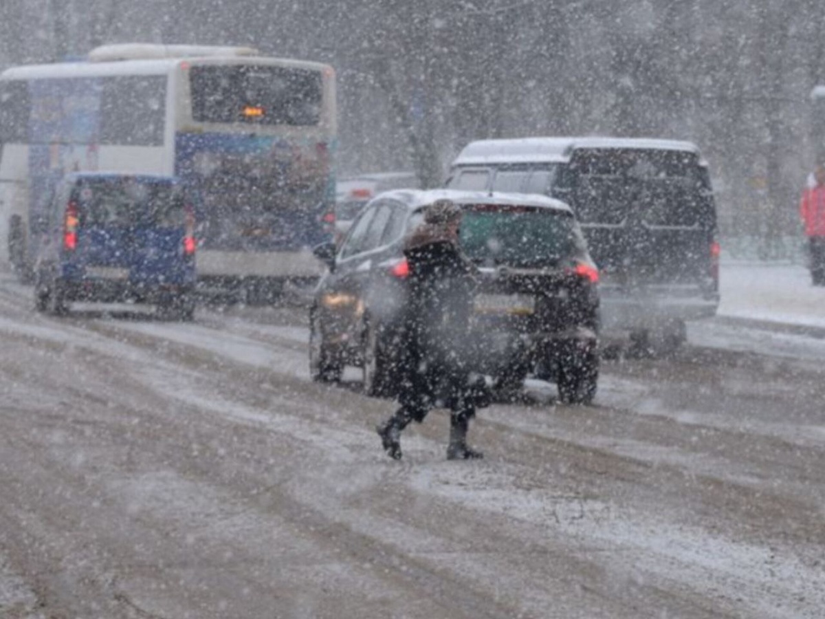    Фото: медиасток.рф