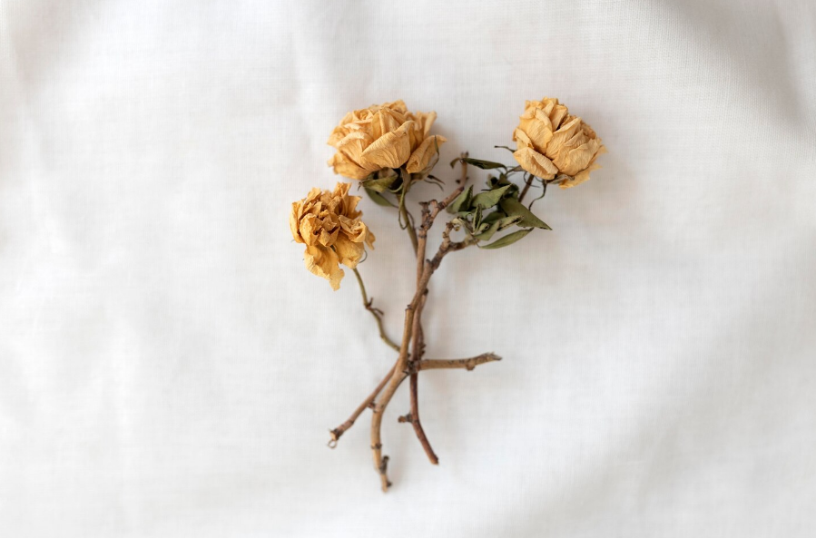 Фото: ru.freepik.com