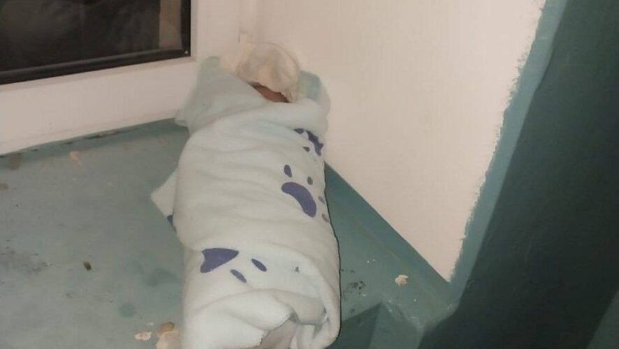    Фото: t.me/almet_novosti