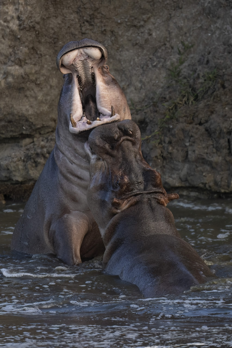   !       ,    .  , 2025.  :  . 