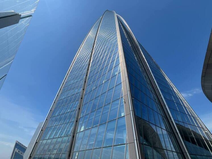     Активисты, выступающие за сохранение исторического облика города, решительно против такого масштабного строительства. Фото из архива "МК в Питере"