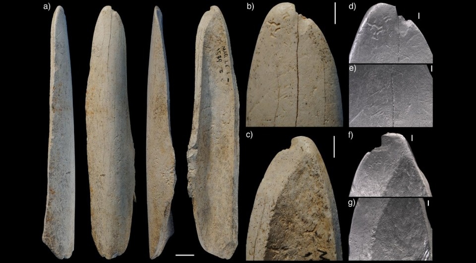   Luc Doyon et al. / Scientific Reports, 2025