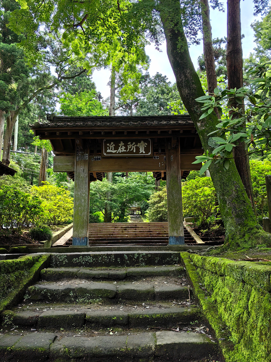 Так начинается этот маршрут со стороны  Kita-Kamakura Station. Яркий мох, зелень деревьев, бамбук и папоротники будут везде. Аромат и сложный запах влажного леса непередаваем!