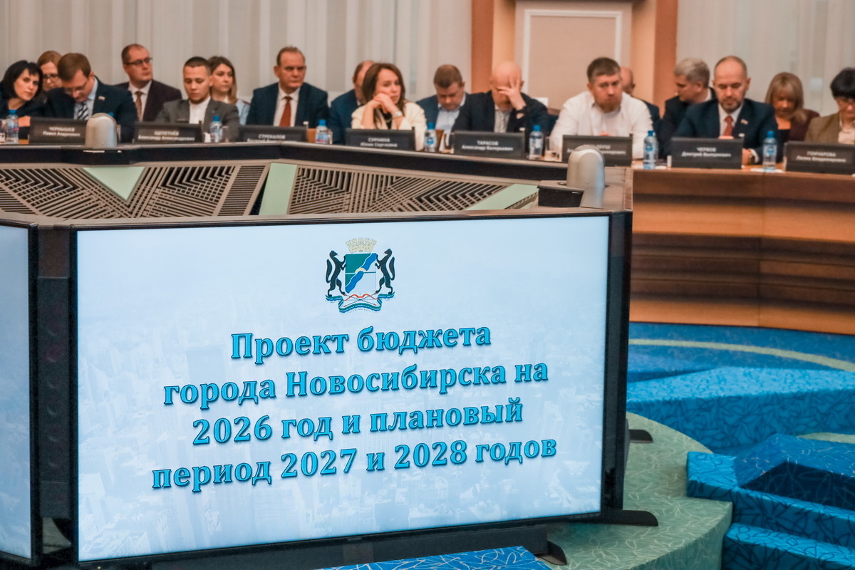    Фото: Совет депутатов города Новосибирска
