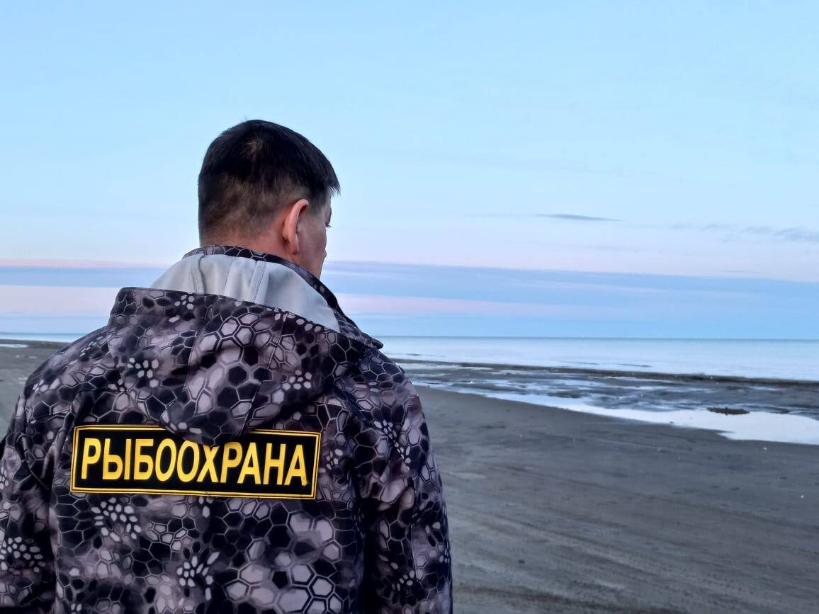 Фото: fish.gov.ru