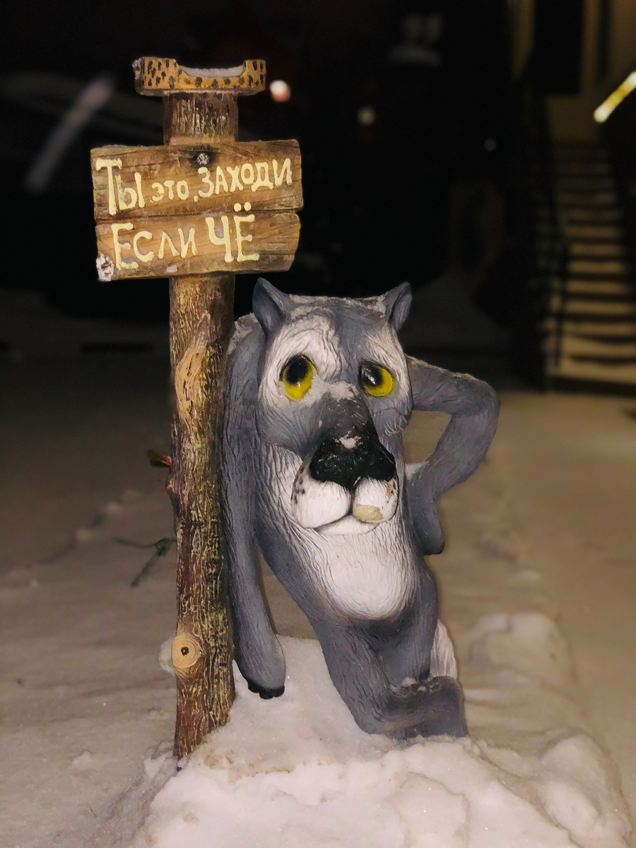 Фото автора ) 