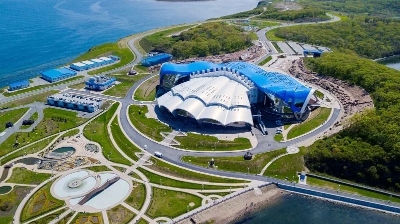 Приморский океанариум. Фото из открытых источников