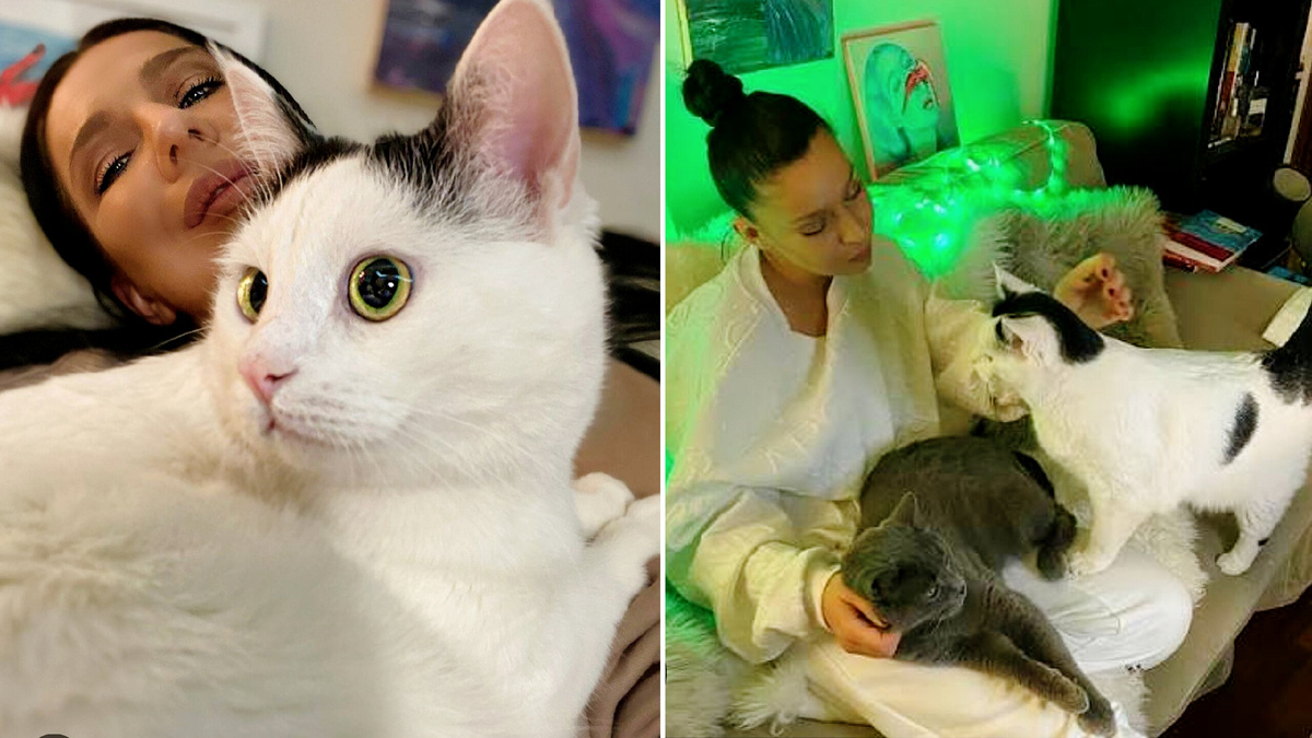 Елка со своими любимыми котиками