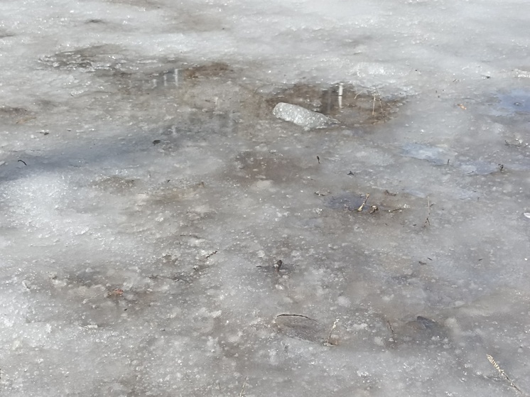     По данным Гидрометцентра, на Неве и других городских водоёмах в ближайшие дни начинается ледостав, что повышает риски для жителей. Фото: архив МК в Питере.