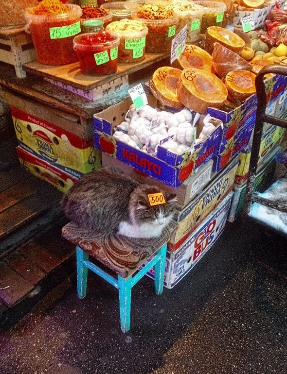 Источник: doodoo.ru