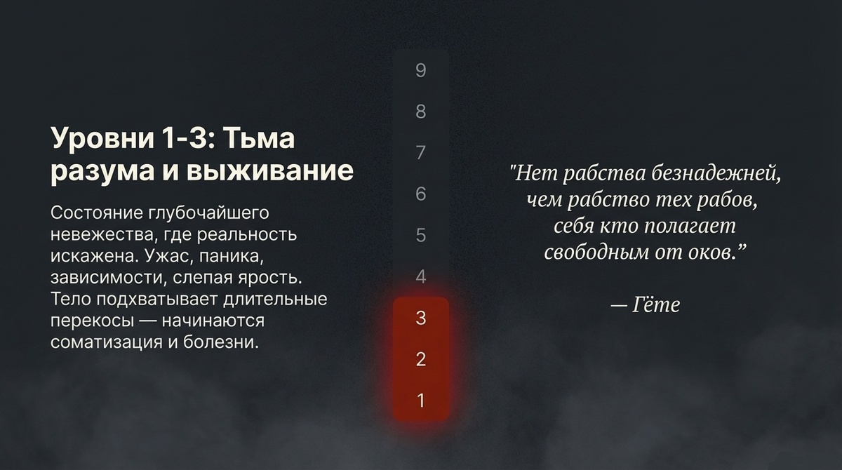 Уровень неведения