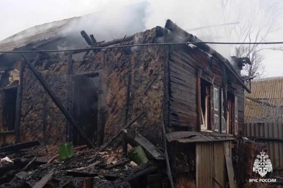    Кот спас уснувшего с сигаретой в руках саратовца от гибели