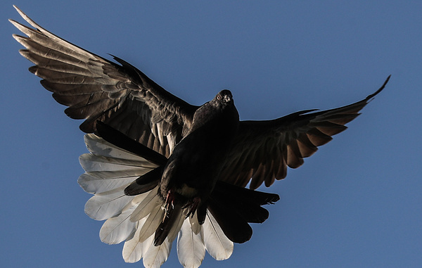 Сергей Фадеичев/ТАСС