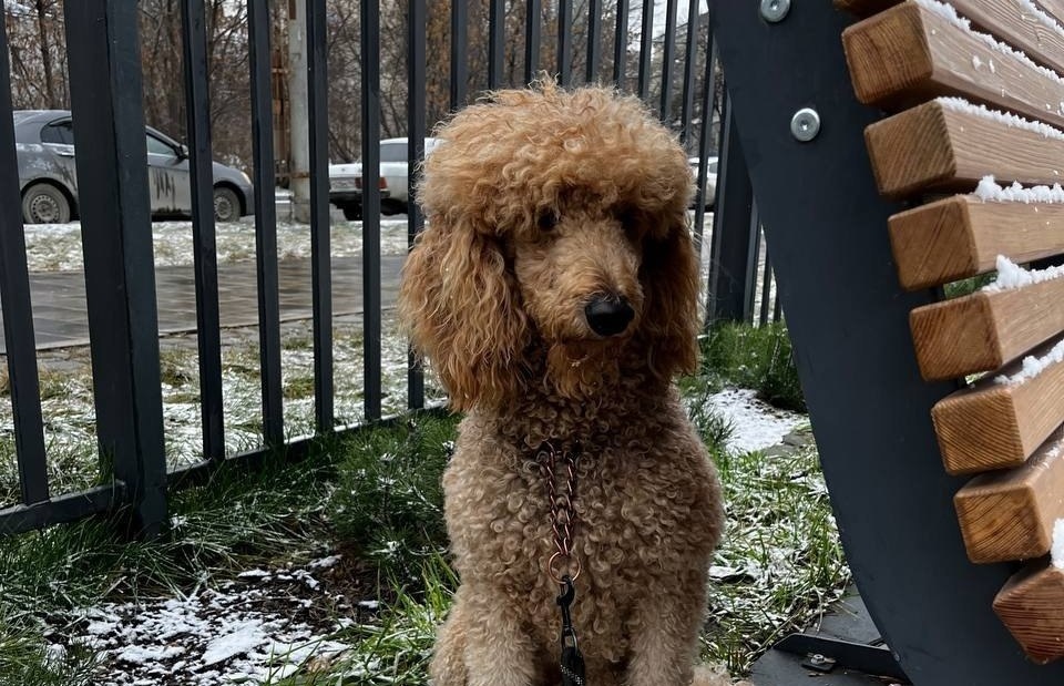    Telegram канал «Эльмаш Екатеринбург»