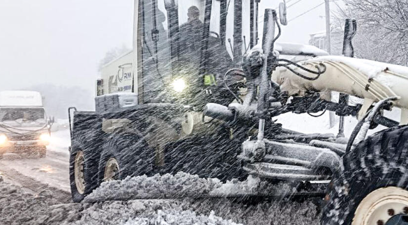 Фото: © Ульяна Лавцевич/ТАСС