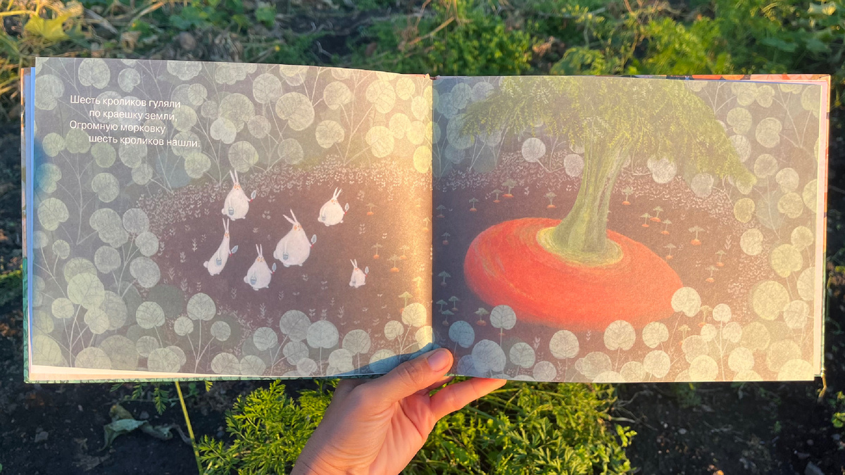 "Шесть кроликов гуляли по краешку земли" Фото автора.