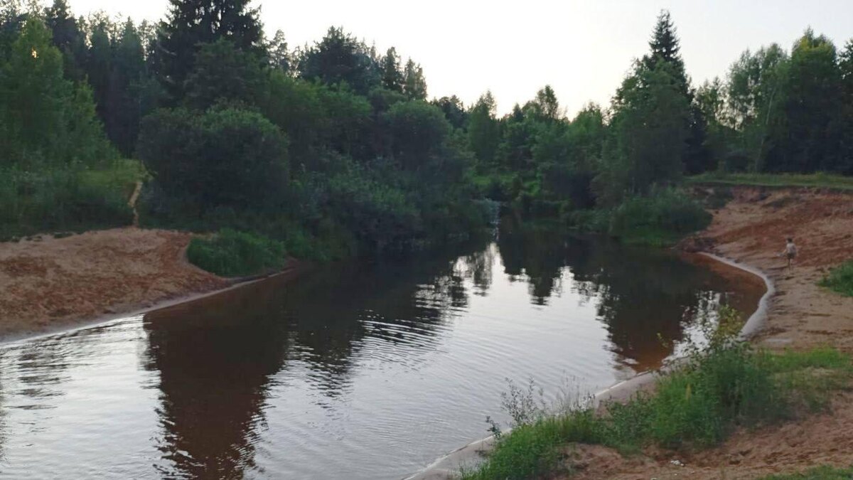    Фото: t.me/lenobladminka