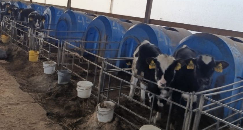    Фото Россельхознадзора