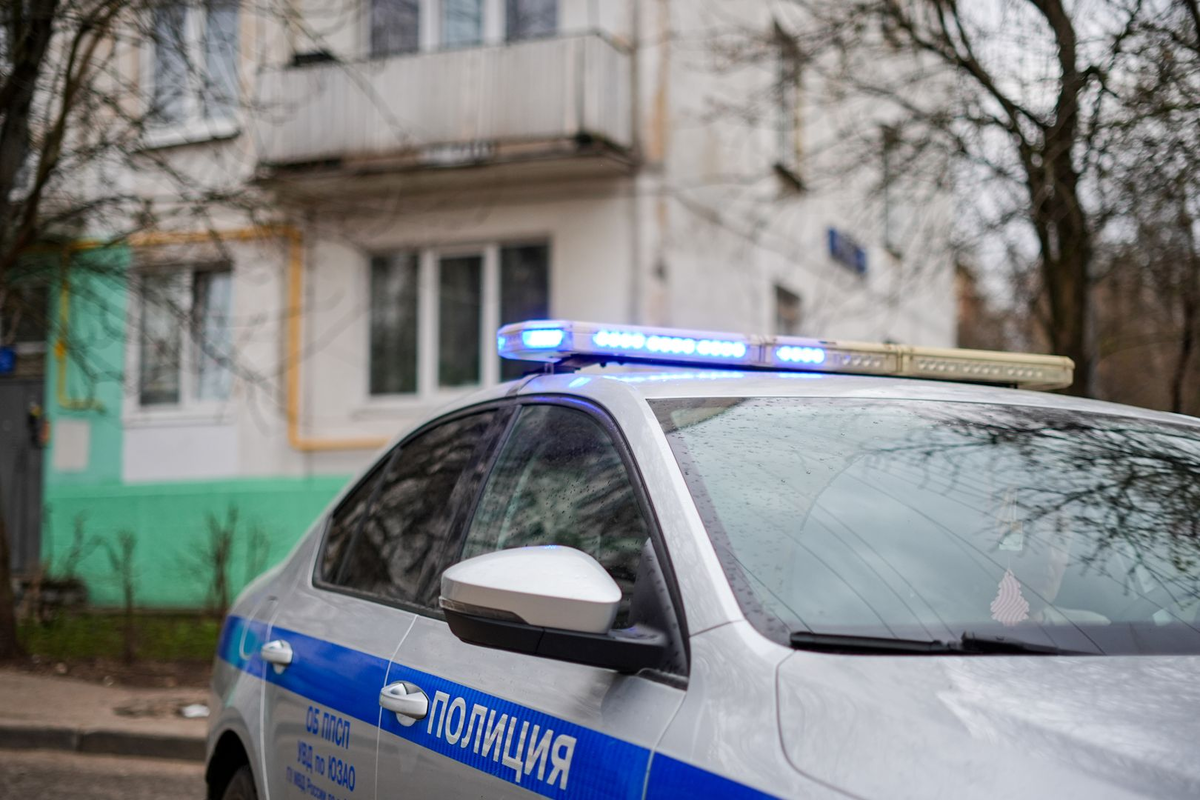 ИЗВЕСТИЯ/Сергей Лантюхов