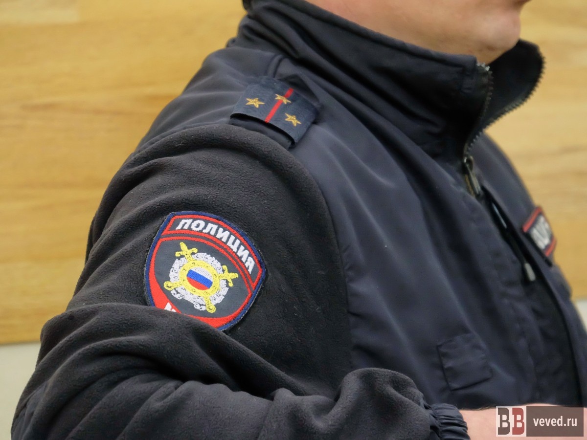     Фото: Владислав Постников / Вечерние ведомости