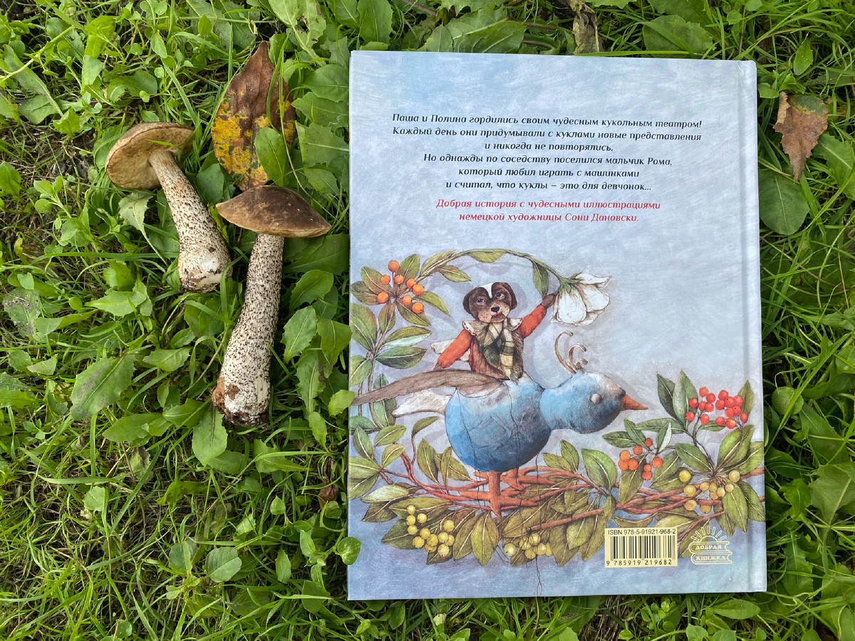 Обратная сторона обложки