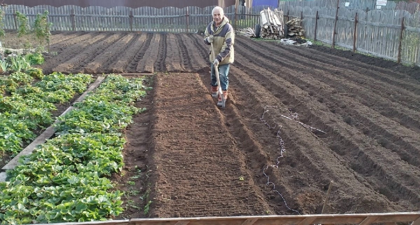    Фото progorod43.ru