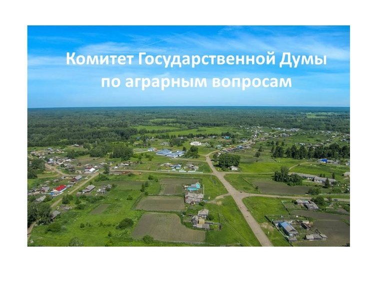    Фото: Комитет Государственной Думы по аграрным вопросам