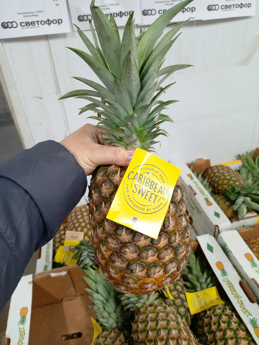 Фото сделано автором канала